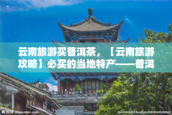 云南旅游买普洱茶，【云南旅游攻略】必买的当地特产——普洱茶