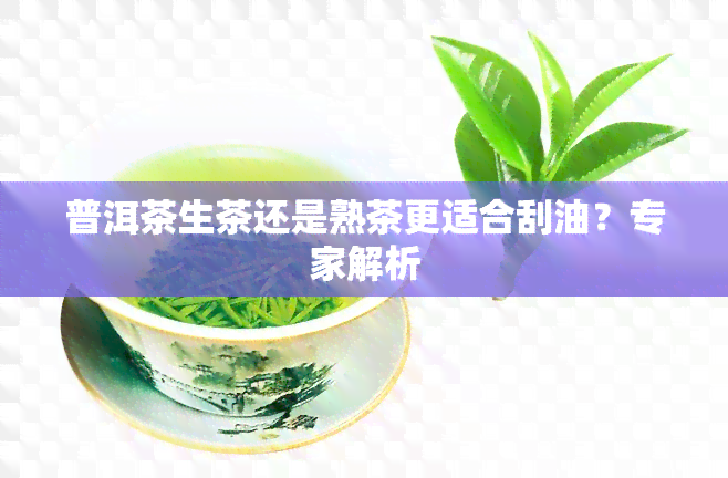 普洱茶生茶还是熟茶更适合刮油？专家解析