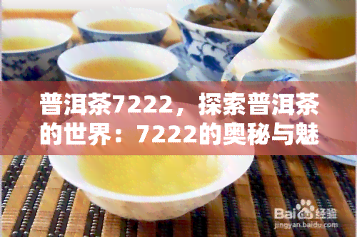 普洱茶7222，探索普洱茶的世界：7222的奥秘与魅力