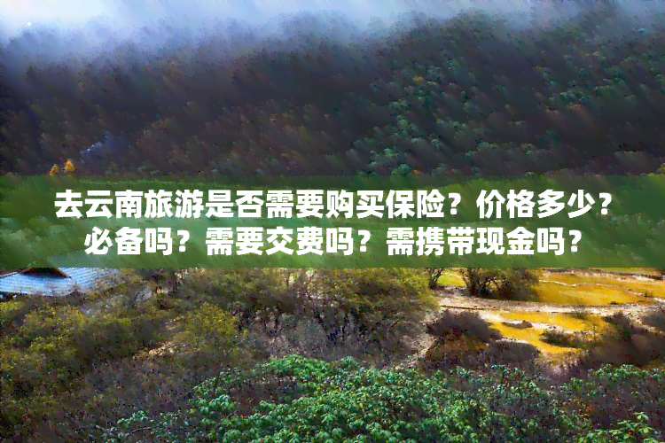 去云南旅游是否需要购买保险？价格多少？必备吗？需要交费吗？需携带现金吗？