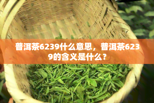 普洱茶6239什么意思，普洱茶6239的含义是什么？