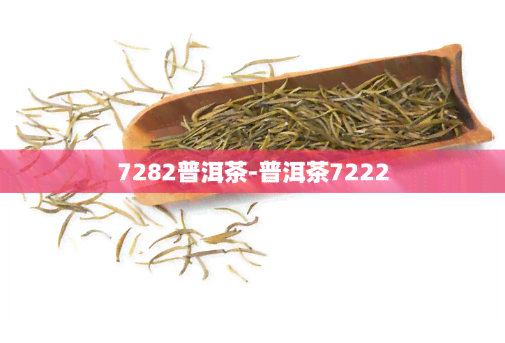 7282普洱茶-普洱茶7222