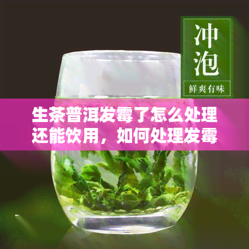 生茶普洱发霉了怎么处理还能饮用，如何处理发霉的生茶普洱？还能不能饮用？