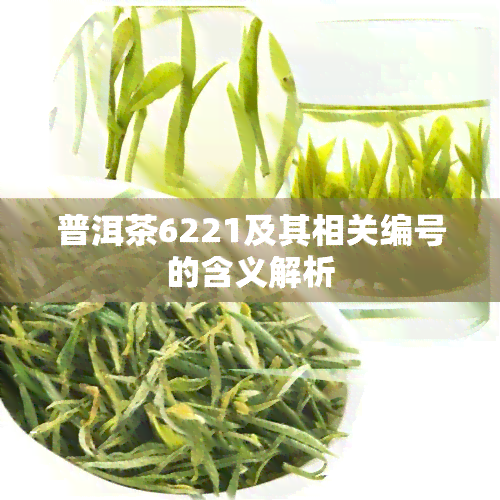 普洱茶6221及其相关编号的含义解析