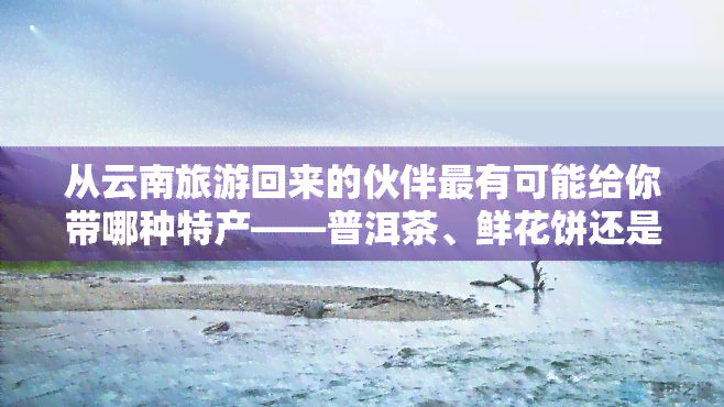 从云南旅游回来的伙伴最有可能给你带哪种特产——普洱茶、鲜花饼还是云腿？