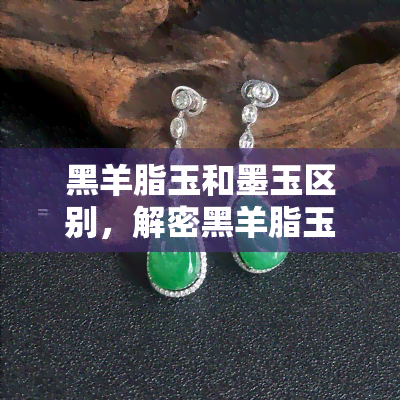 黑羊脂玉和墨玉区别，解密黑羊脂玉与墨玉的区别：一文看懂珍稀玉石的魅力