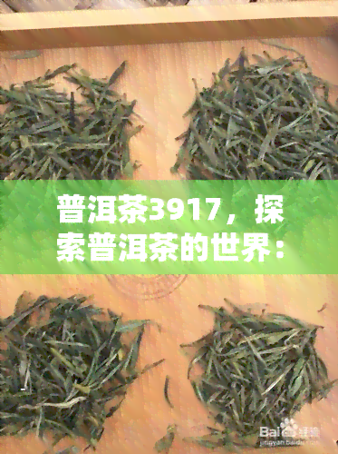 普洱茶3917，探索普洱茶的世界：深入了解3917的含义与故事