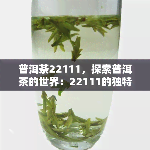 普洱茶22111，探索普洱茶的世界：22111的独特魅力与品尝指南