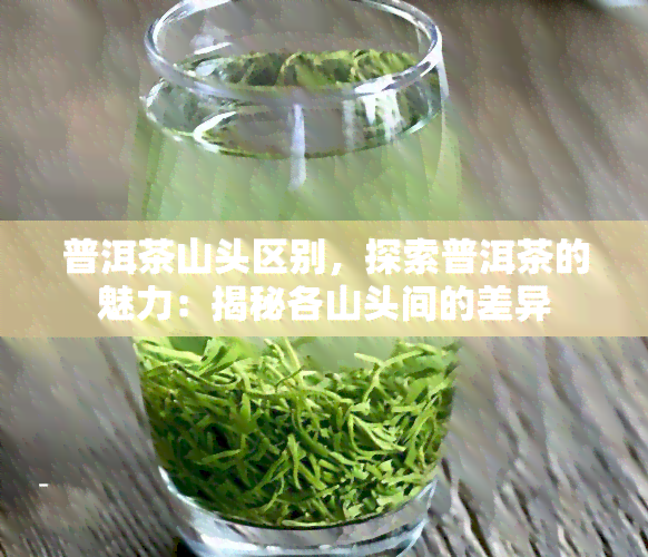 普洱茶山头区别，探索普洱茶的魅力：揭秘各山头间的差异