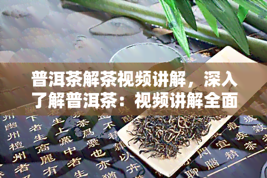 普洱茶解茶视频讲解，深入了解普洱茶：视频讲解全面解析