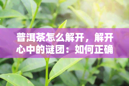 普洱茶怎么解开，解开心中的谜团：如何正确地解开普洱茶？