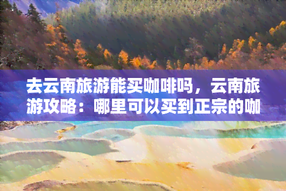 去云南旅游能买咖啡吗，云南旅游攻略：哪里可以买到正宗的咖啡？