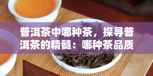 普洱茶中哪种茶，探寻普洱茶的精髓：哪种茶品质？