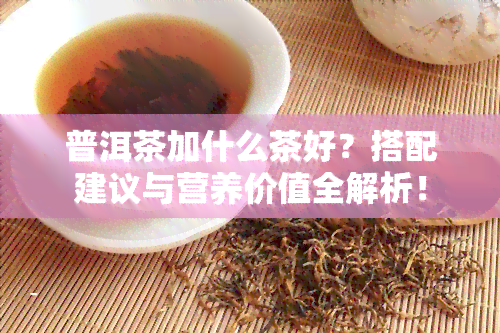 普洱茶加什么茶好？搭配建议与营养价值全解析！