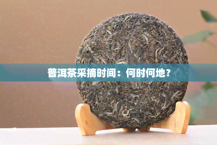 普洱茶采摘时间：何时何地？