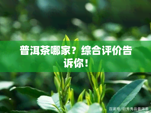 普洱茶哪家？综合评价告诉你！