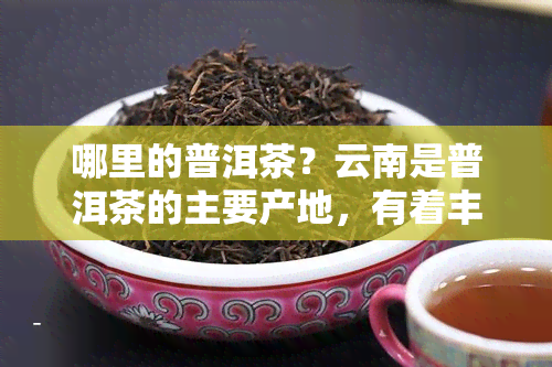 哪里的普洱茶？云南是普洱茶的主要产地，有着丰富的品种和优质的茶叶。如何选购正宗的普洱茶？建议选择有保障的大厂家产品，如大益、下关等。不同的普洱茶各有特色，可以根据个人口味进行选择。