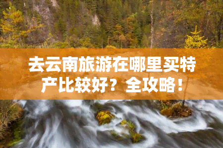 去云南旅游在哪里买特产比较好？全攻略！