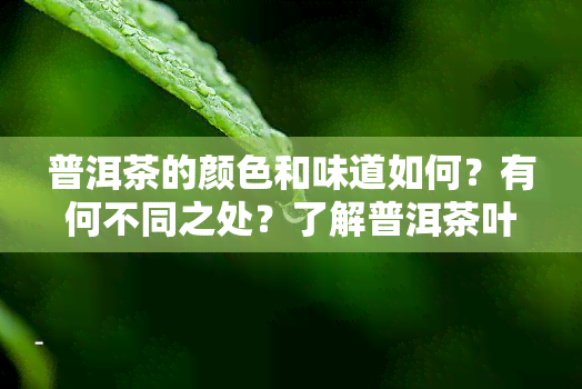 普洱茶的颜色和味道如何？有何不同之处？了解普洱茶叶的颜色与口感，以及其颜色对品质的影响。