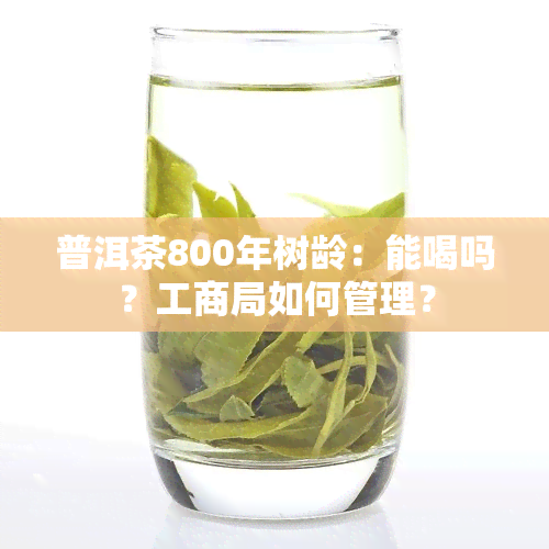 普洱茶800年树龄：能喝吗？工商局如何管理？