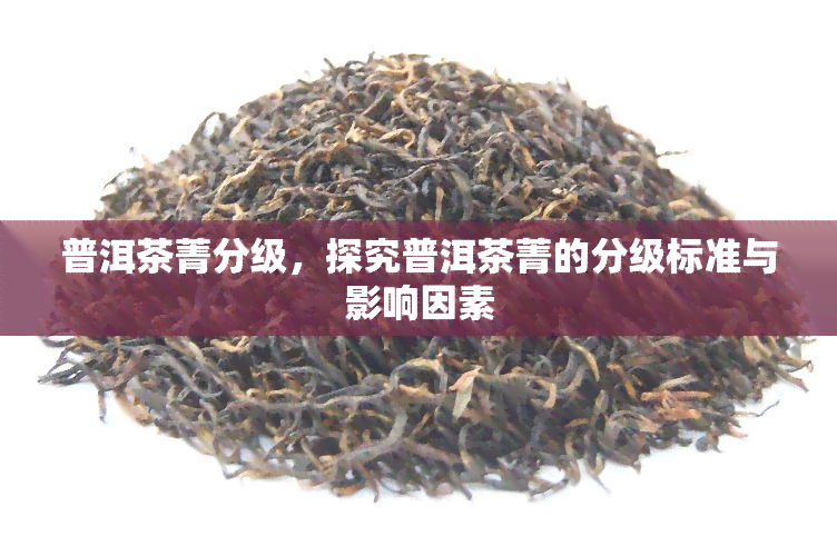 普洱茶菁分级，探究普洱茶菁的分级标准与影响因素