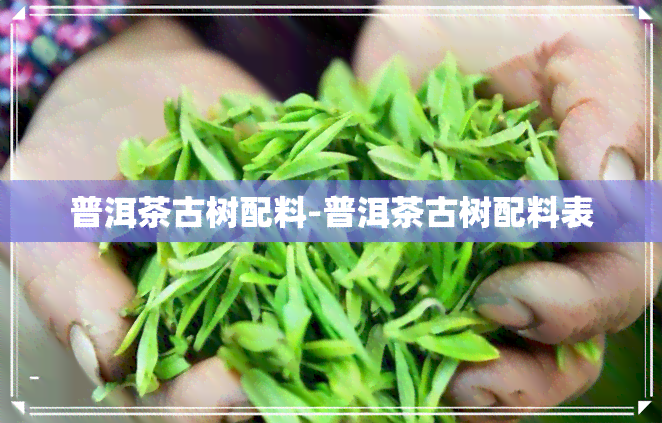 普洱茶古树配料-普洱茶古树配料表