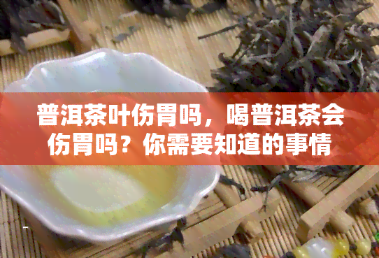 普洱茶叶伤胃吗，喝普洱茶会伤胃吗？你需要知道的事情