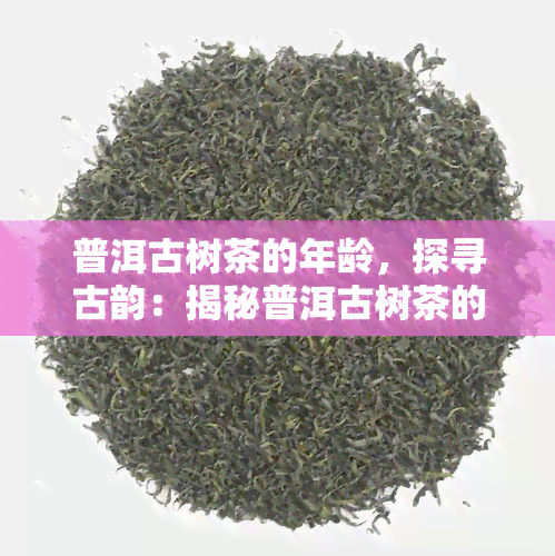 普洱古树茶的年龄，探寻古韵：揭秘普洱古树茶的神秘年龄