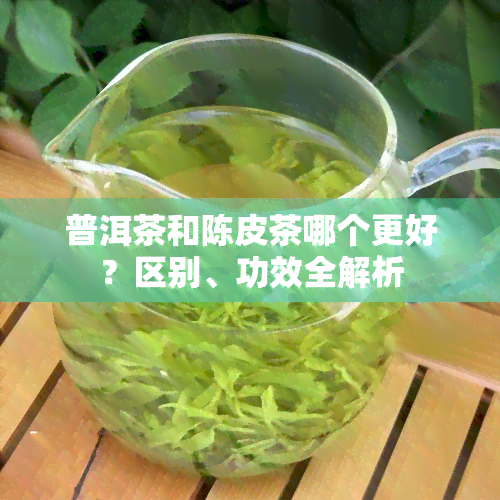 普洱茶和陈皮茶哪个更好？区别、功效全解析