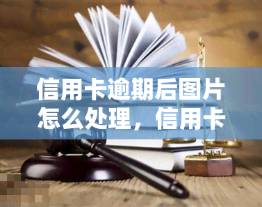 信用卡逾期后图片怎么处理，信用卡逾期后的应对策略：如何妥善处理相关图片？