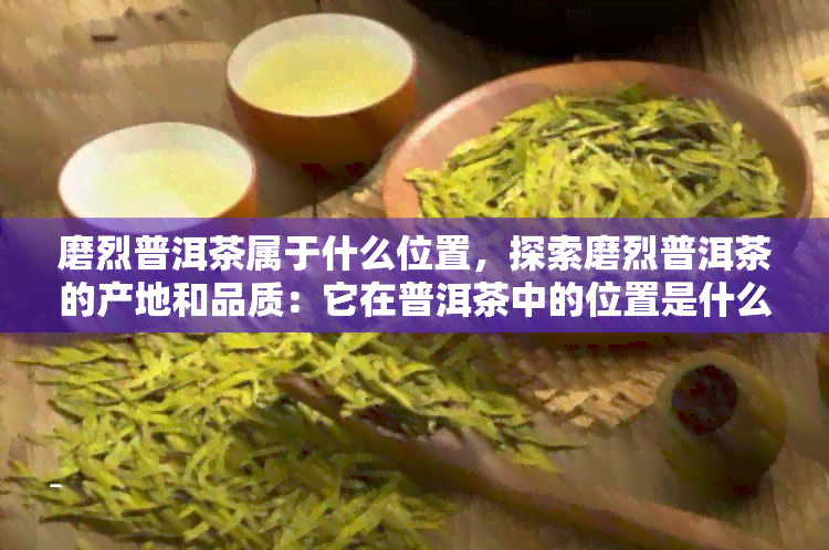 磨烈普洱茶属于什么位置，探索磨烈普洱茶的产地和品质：它在普洱茶中的位置是什么？