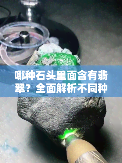 哪种石头里面含有翡翠？全面解析不同种类的翡翠来源