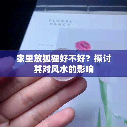 家里放狐狸好不好？探讨其对风水的影响