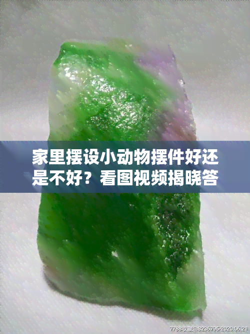 家里摆设小动物摆件好还是不好？看图视频揭晓答案！