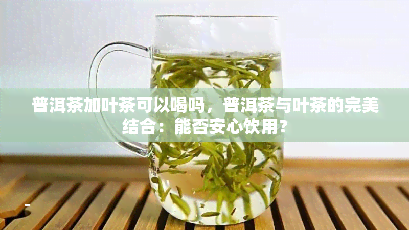 普洱茶加叶茶可以喝吗，普洱茶与叶茶的完美结合：能否安心饮用？