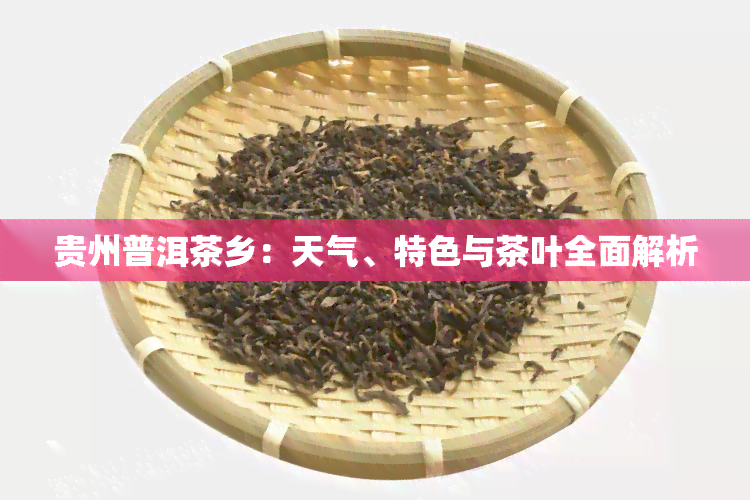 贵州普洱茶乡：天气、特色与茶叶全面解析