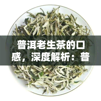 普洱老生茶的口感，深度解析：普洱老生茶的独特口感与品鉴技巧