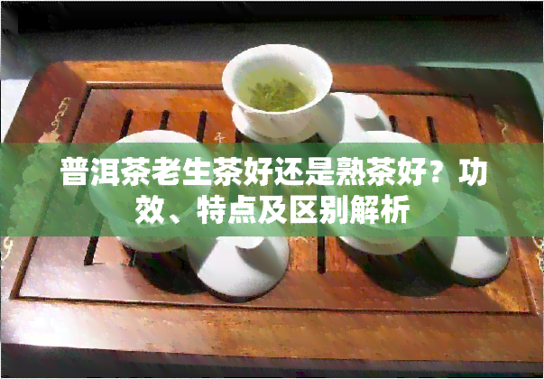 普洱茶老生茶好还是熟茶好？功效、特点及区别解析