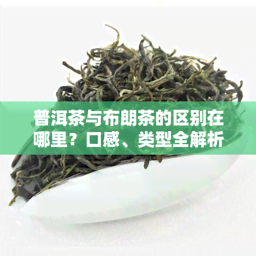 普洱茶与布朗茶的区别在哪里？口感、类型全解析