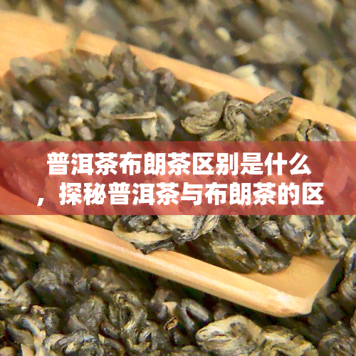 普洱茶布朗茶区别是什么，探秘普洱茶与布朗茶的区别：从口感、产地到制作工艺的全面解析