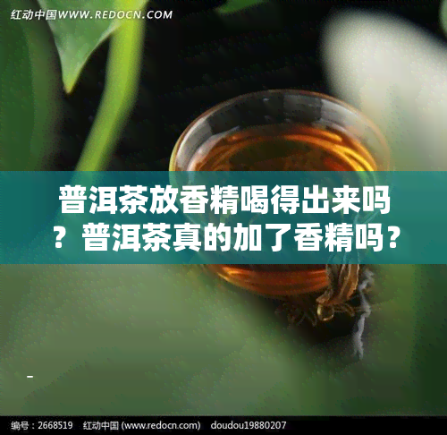 普洱茶放香精喝得出来吗？普洱茶真的加了香精吗？生茶会添加香料吗？普洱茶香精有哪些香型？