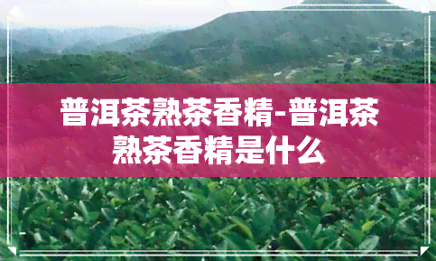 普洱茶熟茶香精-普洱茶熟茶香精是什么