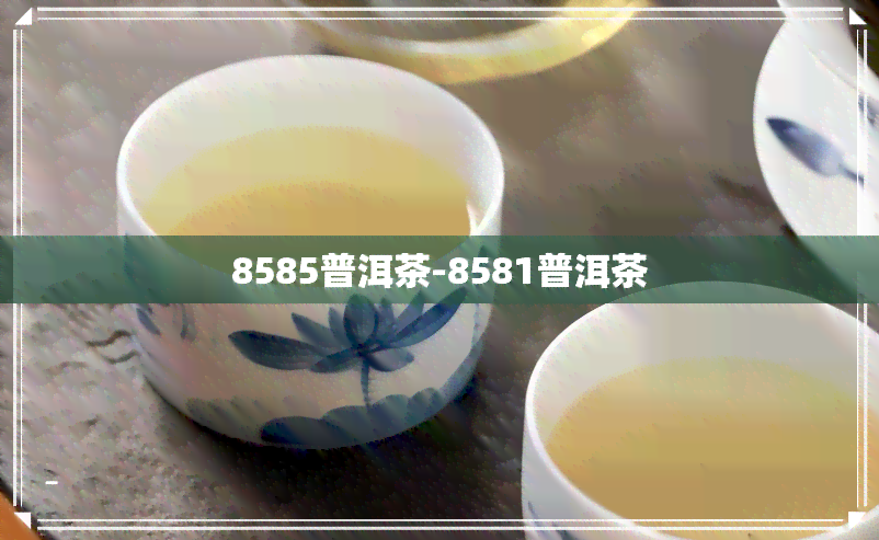 8585普洱茶-8581普洱茶