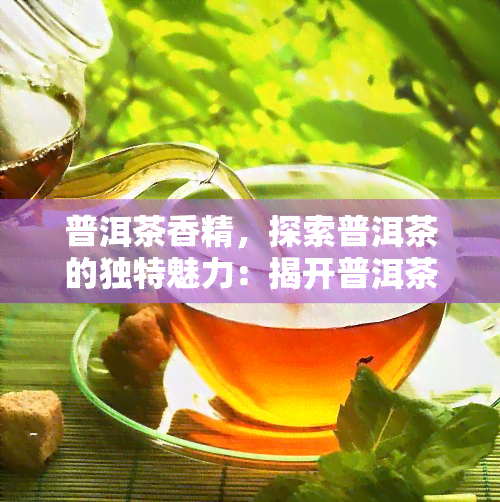 普洱茶香精，探索普洱茶的独特魅力：揭开普洱茶香精的秘密