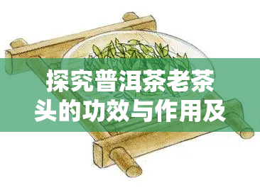 探究普洱茶老茶头的功效与作用及其适宜人群