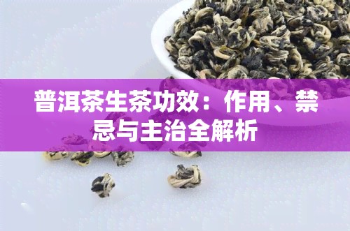 普洱茶生茶功效：作用、禁忌与主治全解析