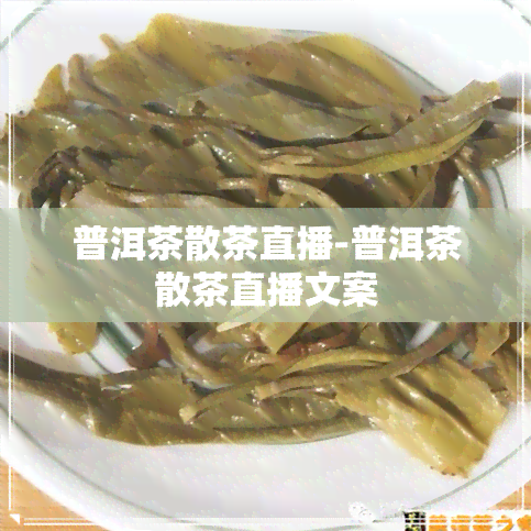 普洱茶散茶直播-普洱茶散茶直播文案