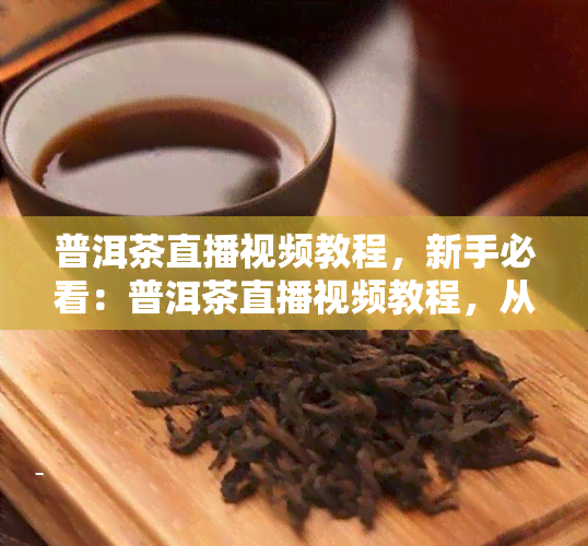 普洱茶直播视频教程，新手必看：普洱茶直播视频教程，从选茶到冲泡全解析！