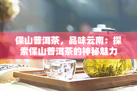 保山普洱茶，品味云南：探索保山普洱茶的神秘魅力