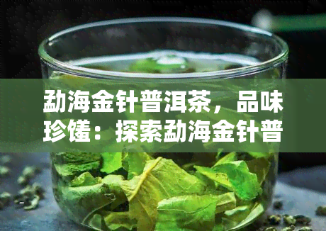 勐海金针普洱茶，品味珍馐：探索勐海金针普洱茶的独特魅力